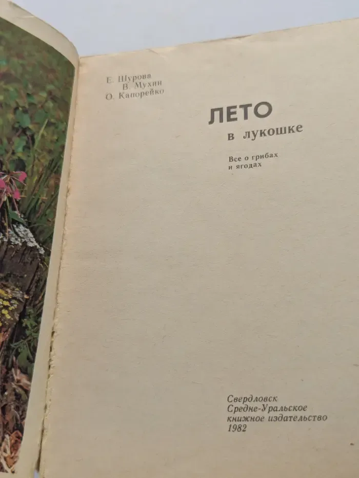 Лето в лукошке. Все о грибах и ягодах