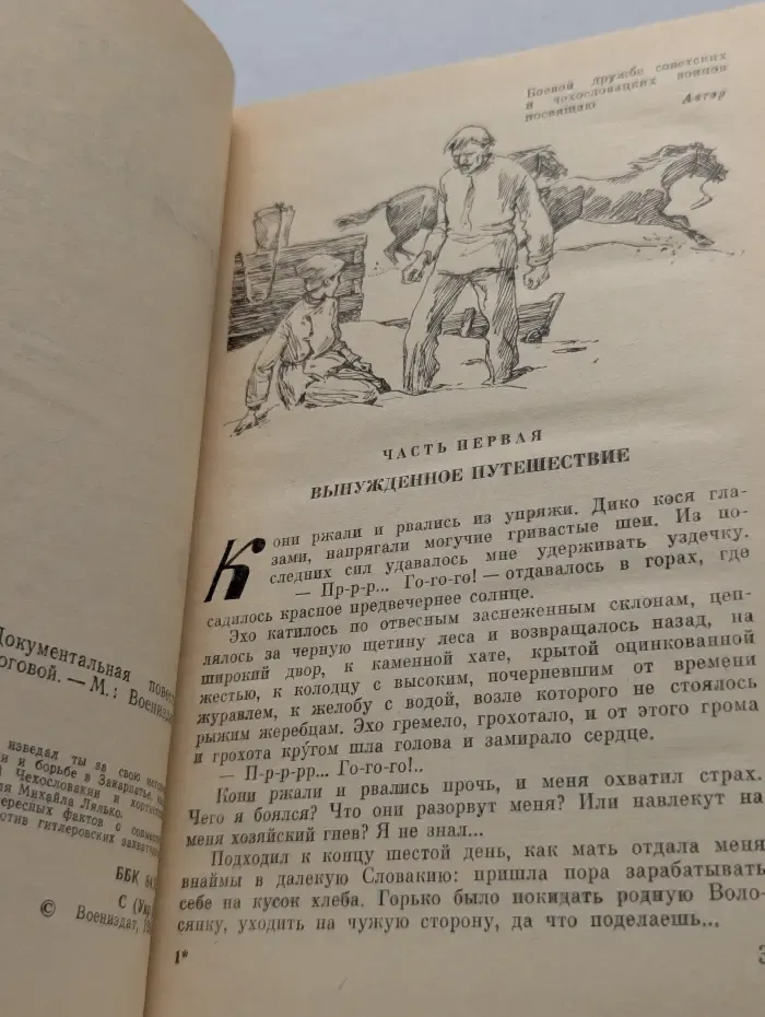 Зарница надежды