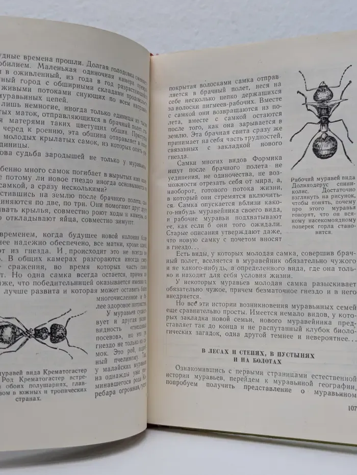 Пароль скрещенных антенн