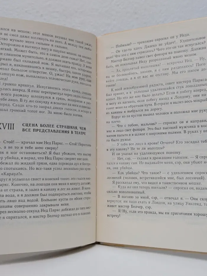Школьная библиотека. Маленький оборвыш