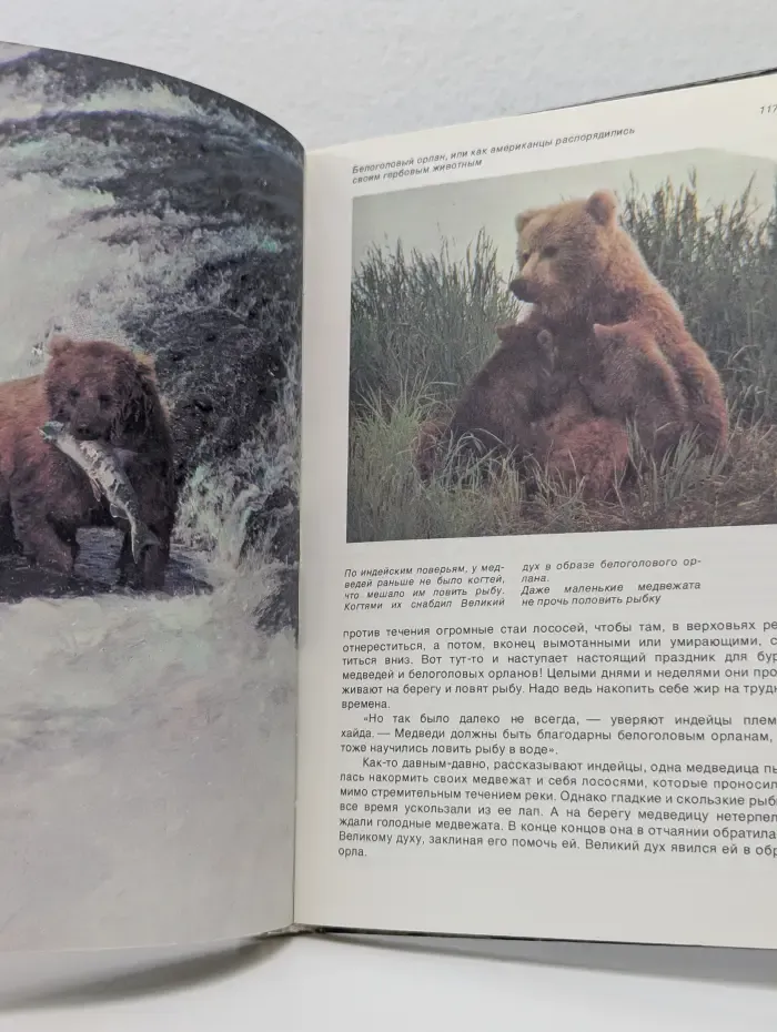 От кобры до медведя гризли