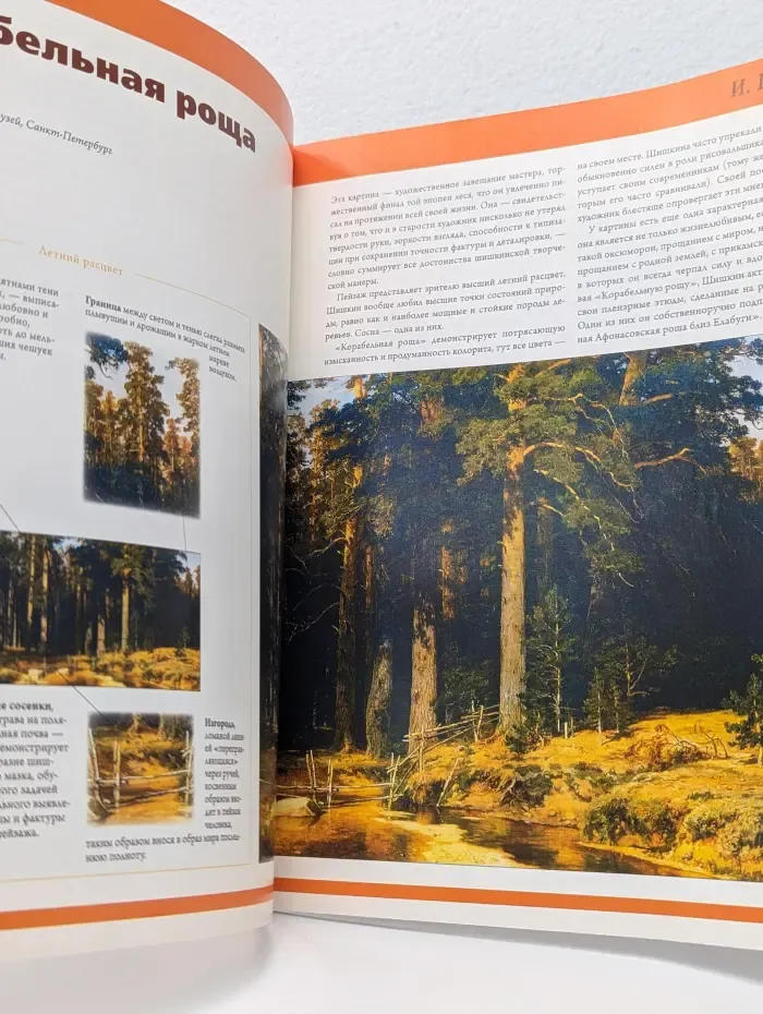 50 художников. Шедевры русской живописи. Выпуск № 1/2010. Шишкин