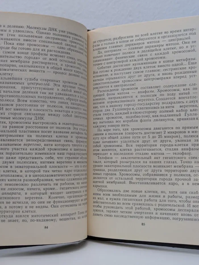 Размышления и споры о вирусах