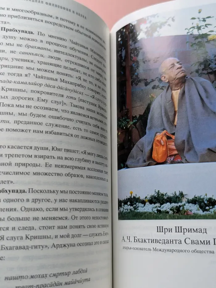 В поисках просветления