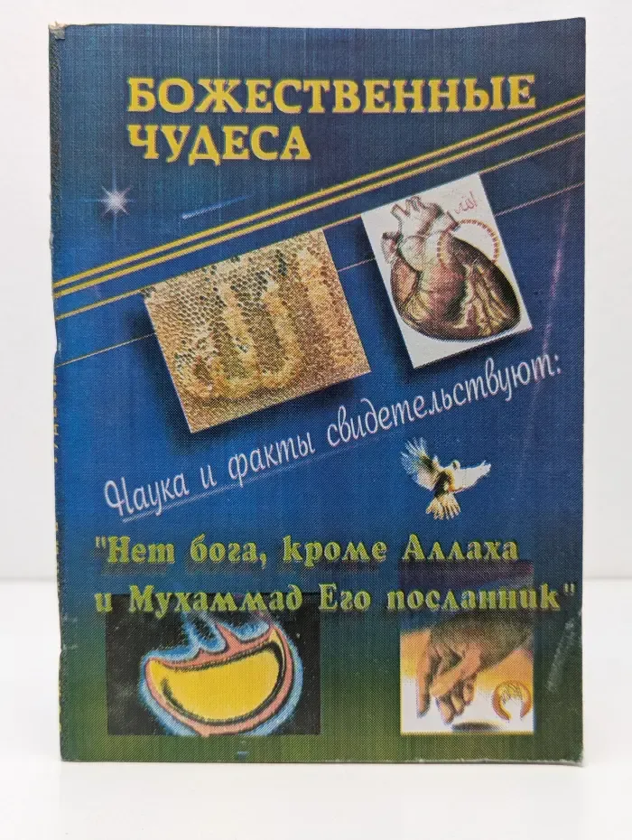 Божественные чудеса