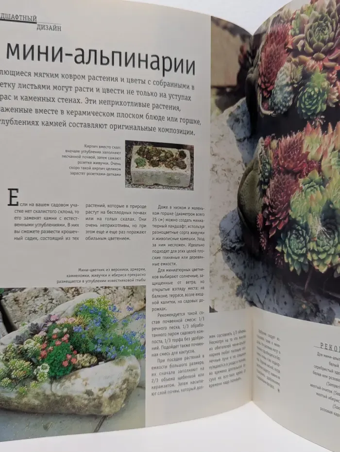 Флора. Растения в вашем доме и саду. Выпуск № 2/1997