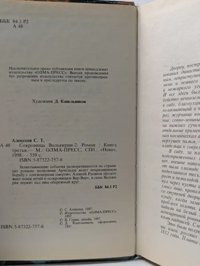 Сокровища Валькирии-2. Книга 3
