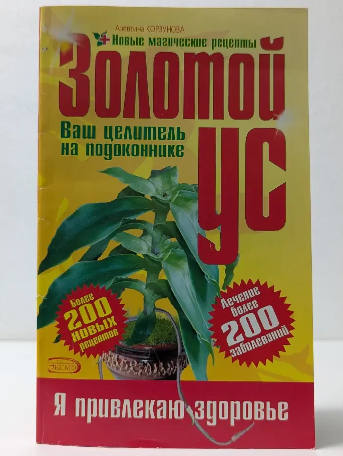 Золотой ус - ваш целитель на подоконнике