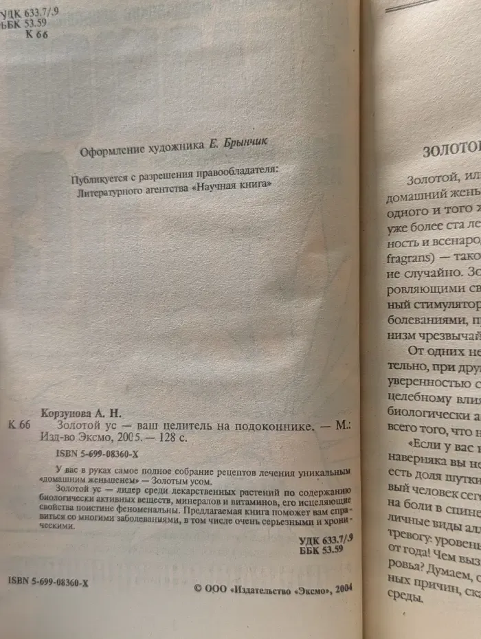 Золотой ус - ваш целитель на подоконнике
