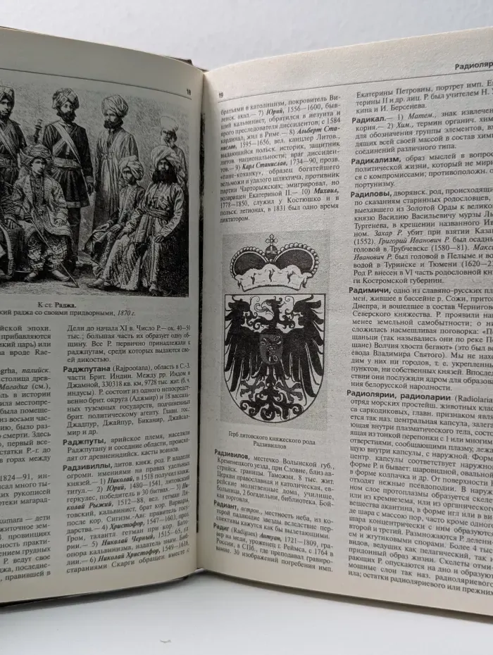 Иллюстрированный энциклопедический словарь Ф. А. Брокгауза и И. А. Ефрона. Том 12. Р