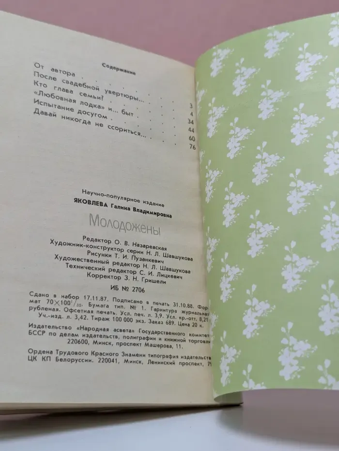 Школьникам о семейной жизни. Молодожены