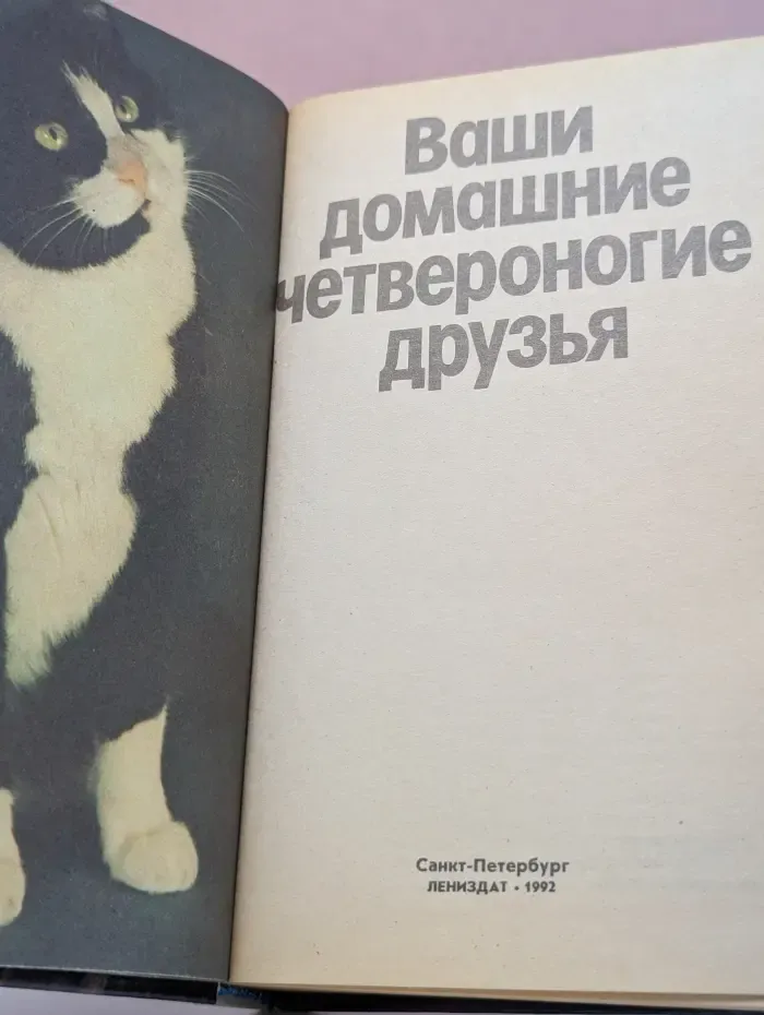 Ваши домашние четвероногие друзья