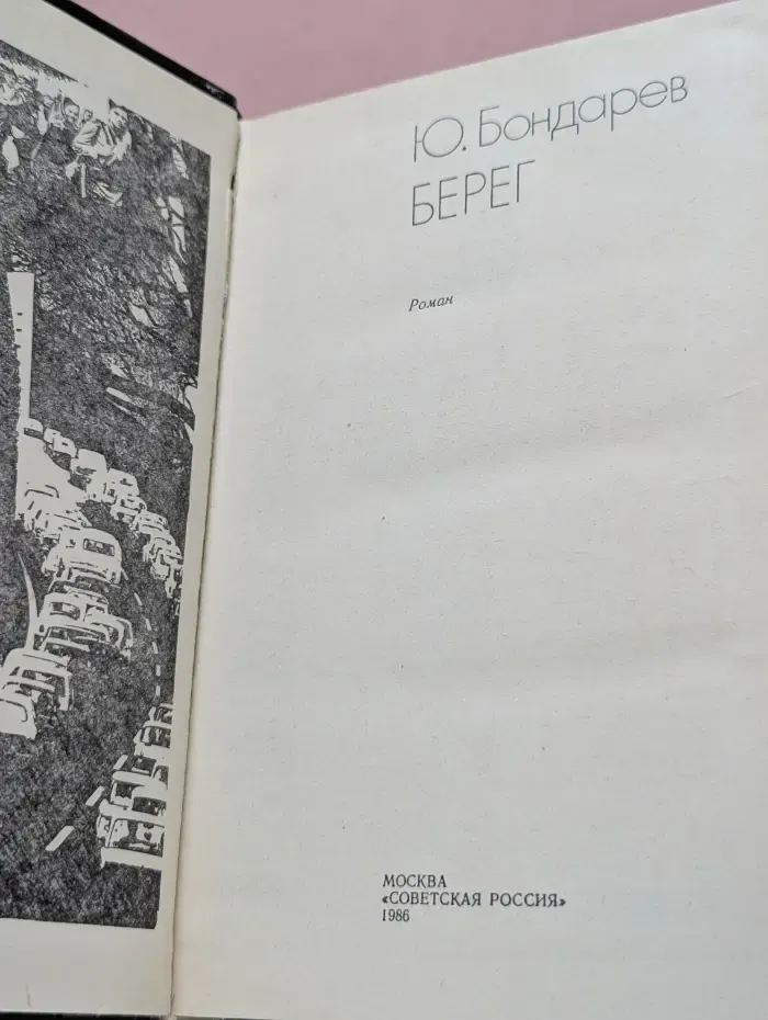 Политический роман. Берег