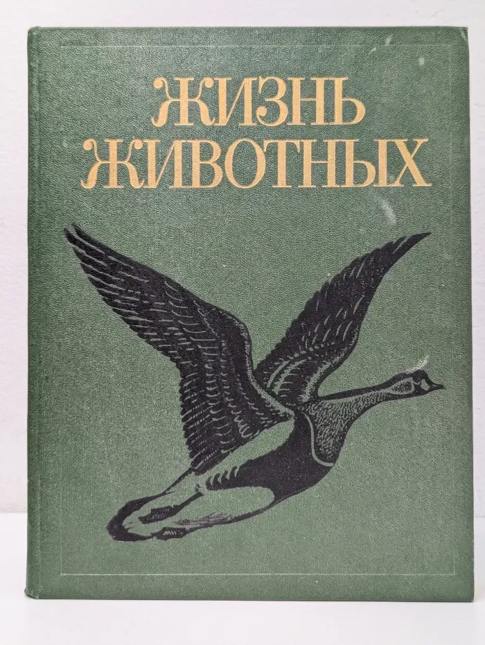 Жизнь животных в 7 томах. Том 6. Птицы