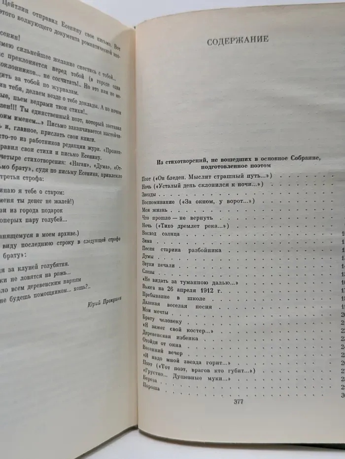Сергей Есенин. Собрание сочинений в 2 томах. Том 2
