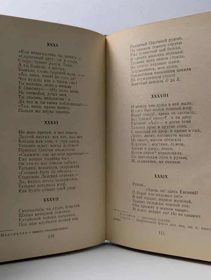 Школьная библиотека. Евгений Онегин