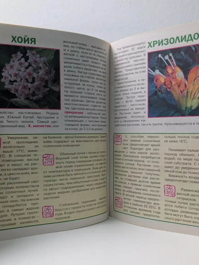 100 Комнатных растений. Выпуск № 3/2013