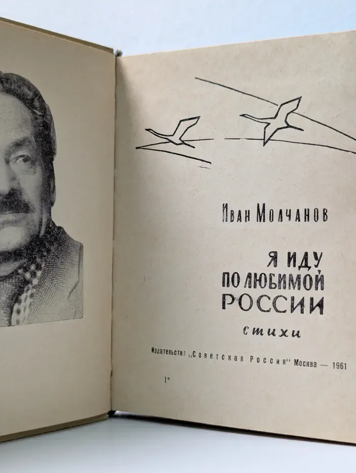 Я иду по любимой России