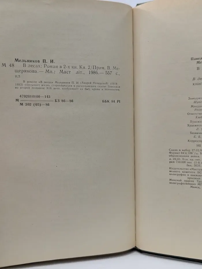 В лесах. В 2 книгах. Книга 2