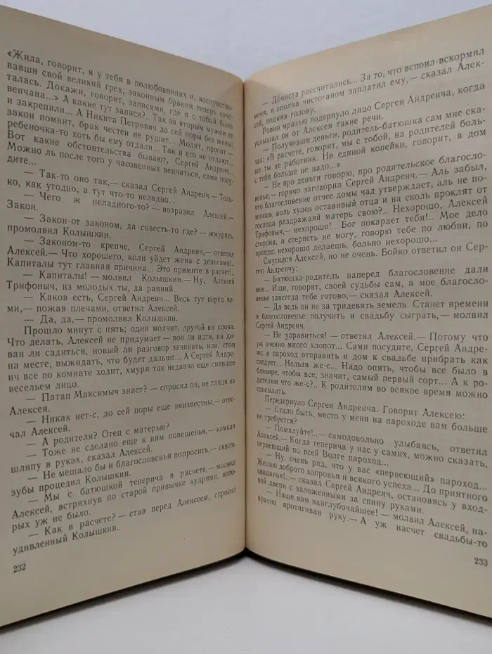 В лесах. В 2 книгах. Книга 2