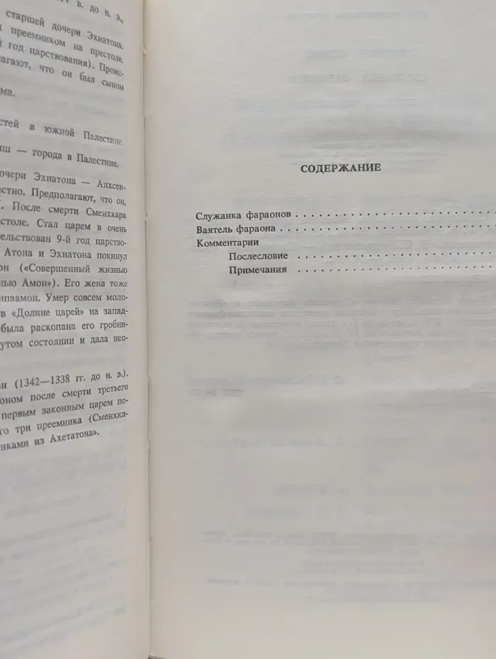 Служанка фараонов. Ваятель фараона