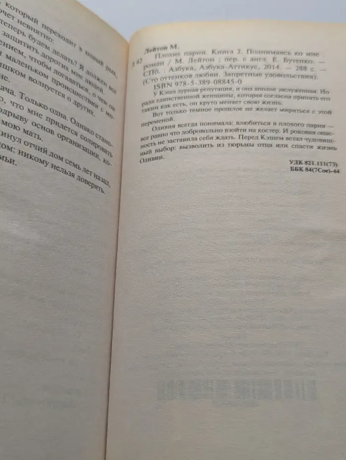 Сто оттенков любви. Запретные удовольствия. Плохие парни. Книга 2. Поднимаясь ко мне