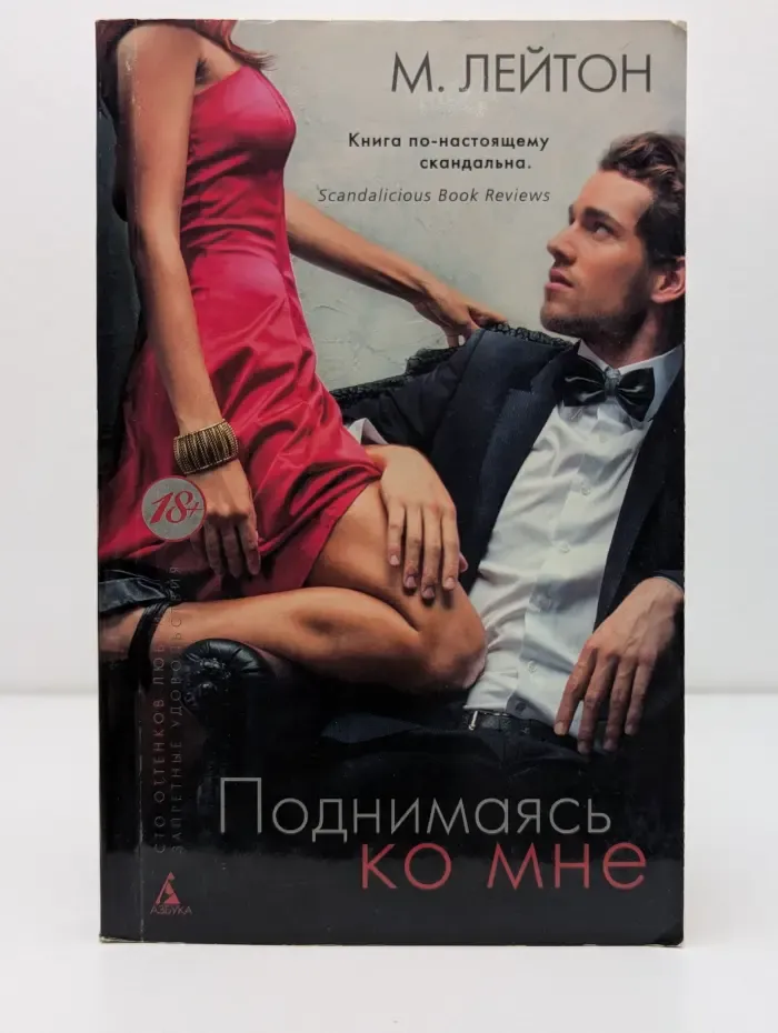 Сто оттенков любви. Запретные удовольствия. Плохие парни. Книга 2. Поднимаясь ко мне