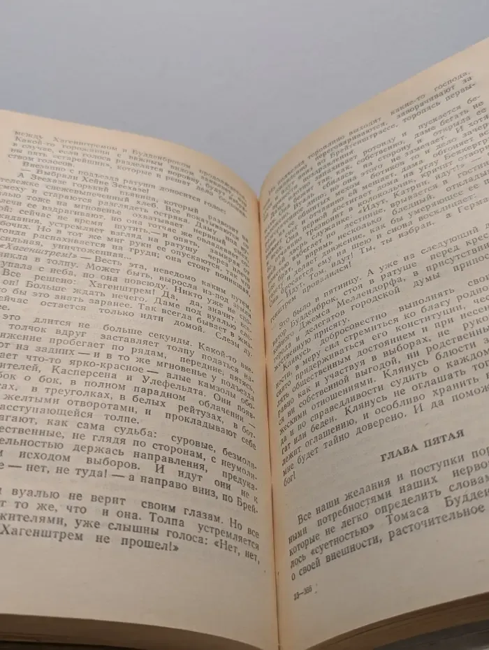 Будденброки. История гибели одного семейства