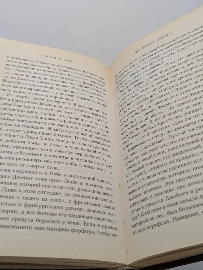 Мона Лиза. Не трогай кошку