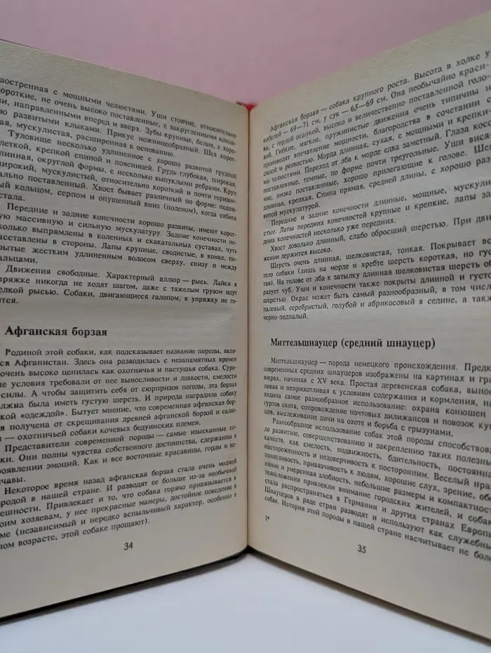 Все о собаке