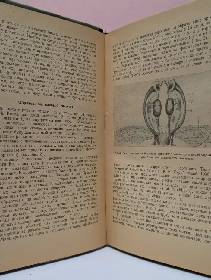 Внематочная беременность