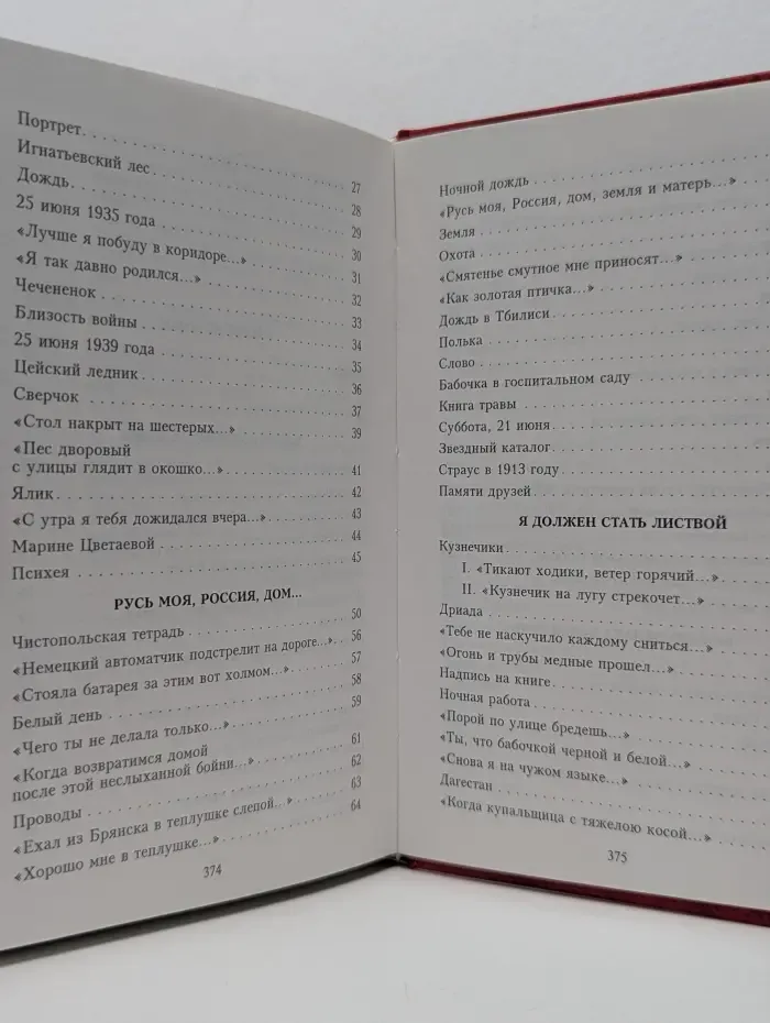 Домашняя Библиотека Поэзии. Белый день. Стихотворения и поэмы
