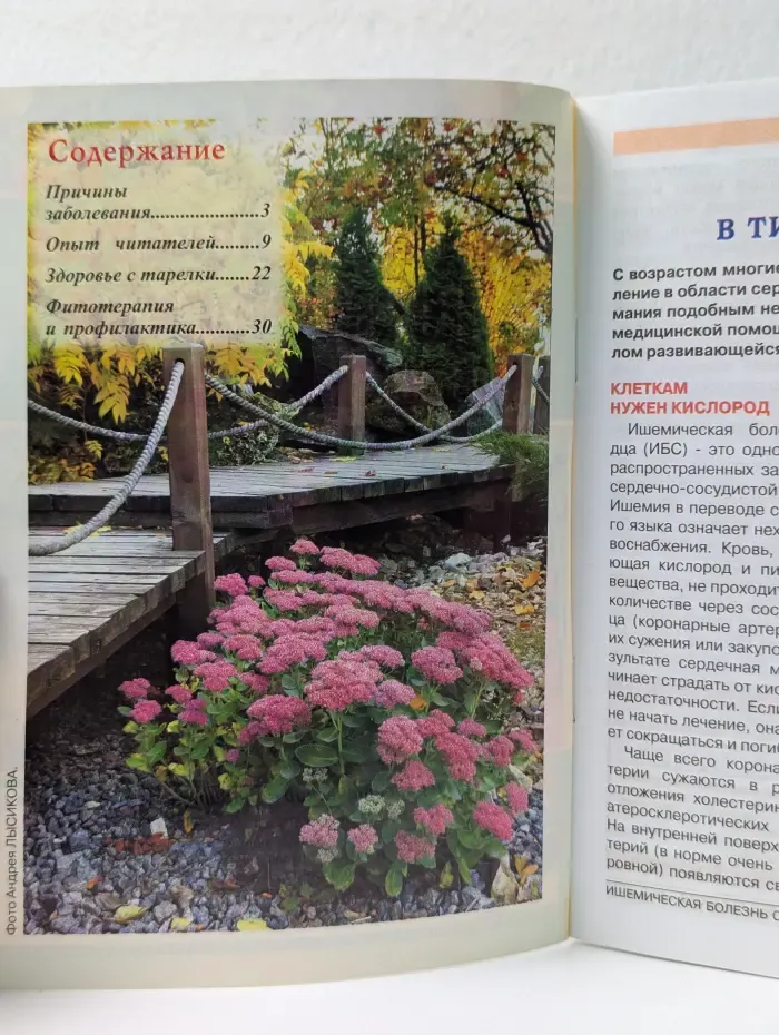 Лечим без лекарств. Выпуск № 9/2013. Ишемическая болезнь сердца