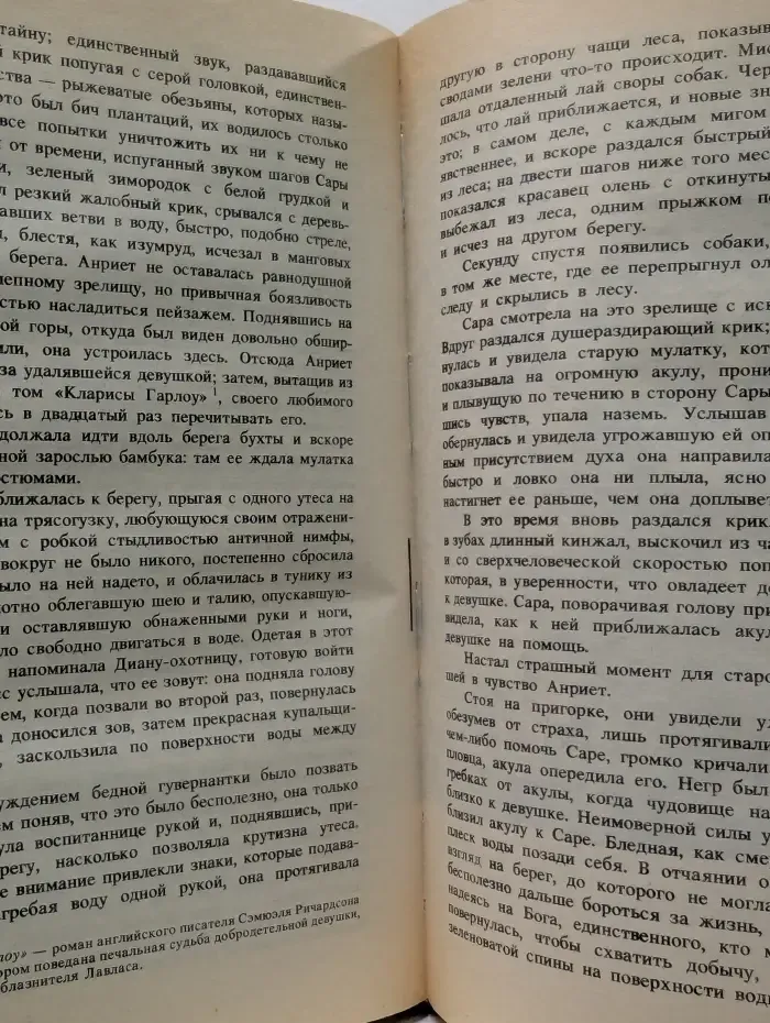 Плащ и шпага. Дочь регента. Жорж