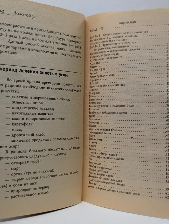 Золотой ус - домашний доктор