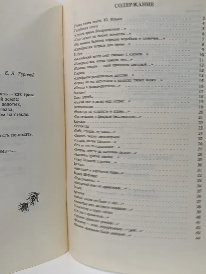 Голубиная почта. Книга акростихов