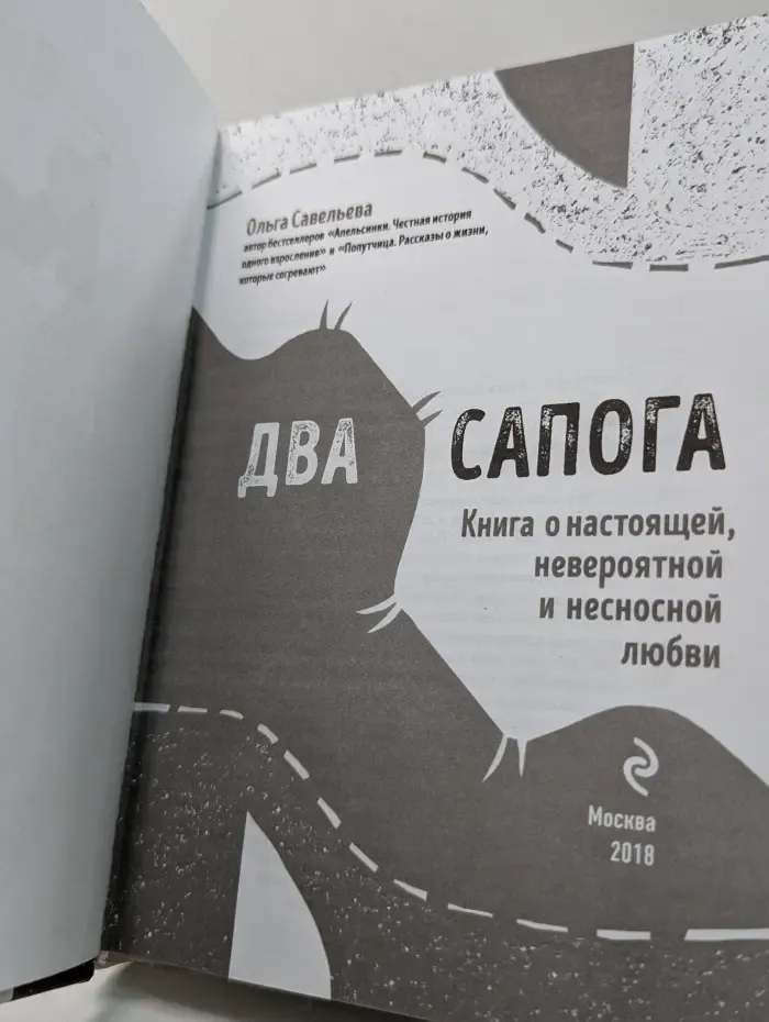 Два сапога