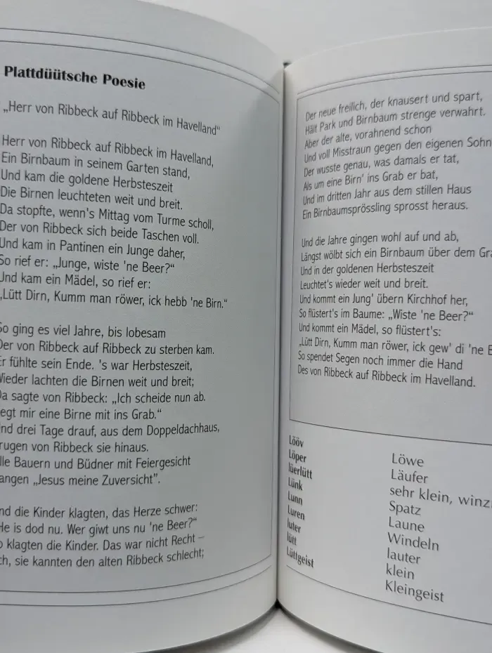 Sprechen Sie Platt?