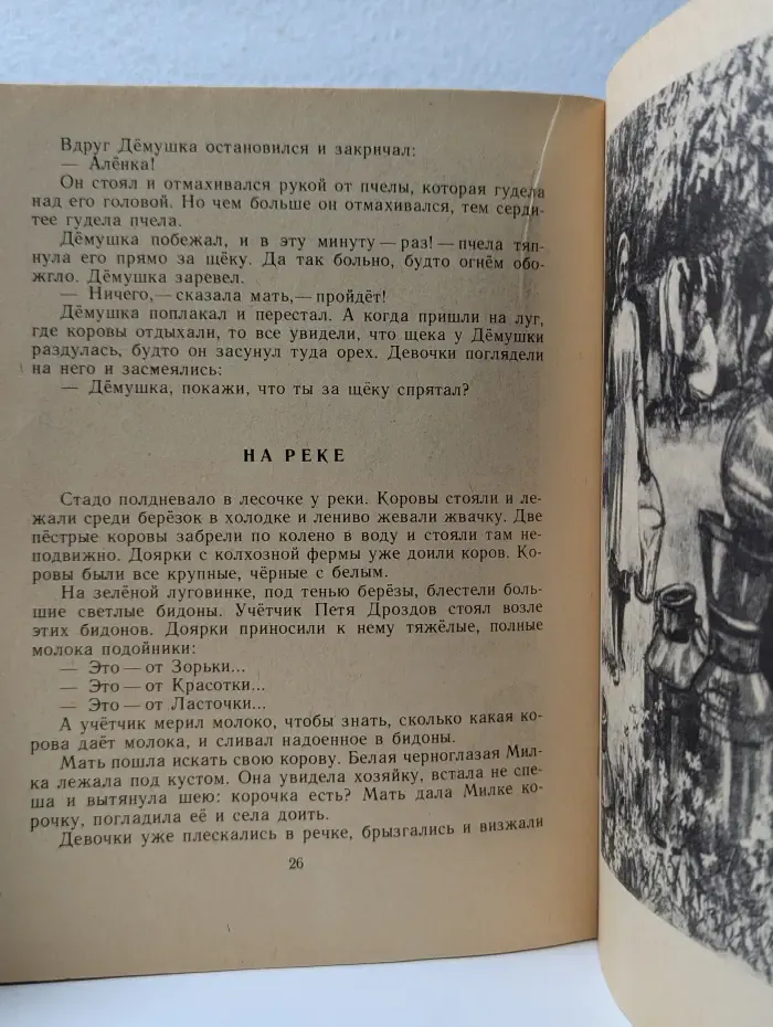 Солнечный денек