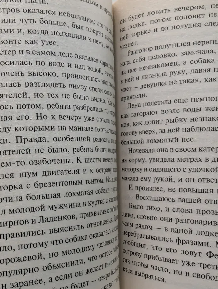 Петербургский детектив