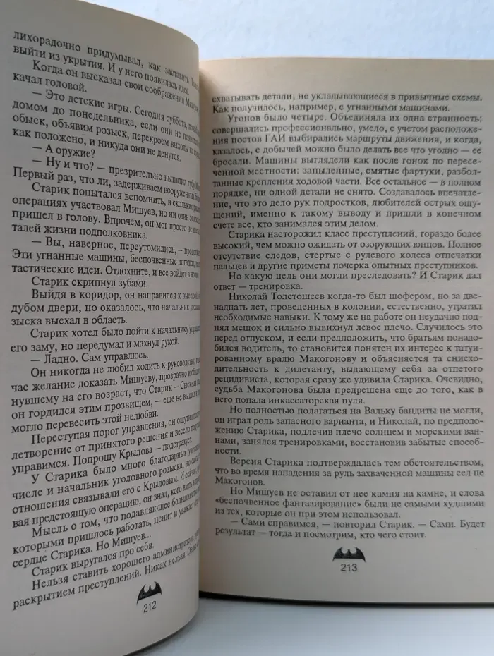 Вне закона. Смягчающие обстоятельства. Задержание