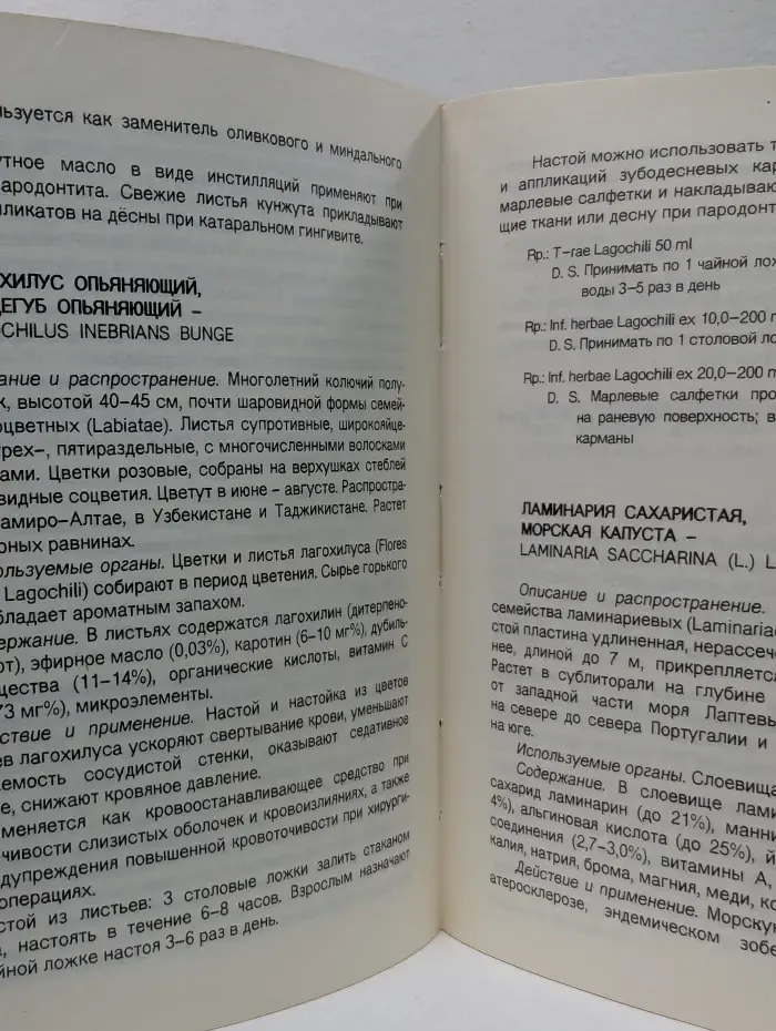 Лекарственные растения в стоматологии