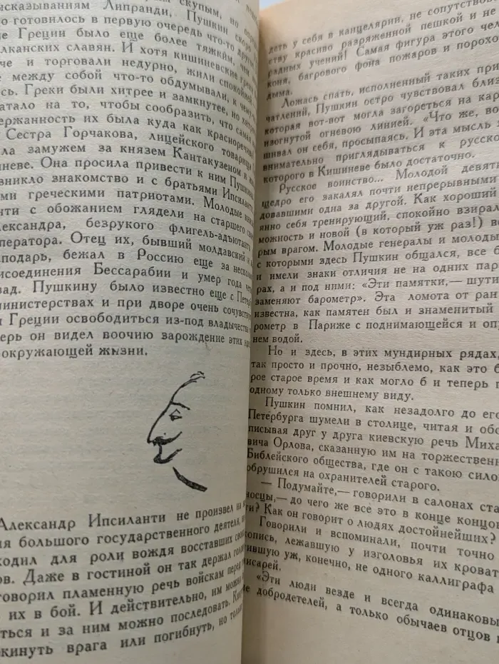 Библиотечная серия. Пушкин в изгнании