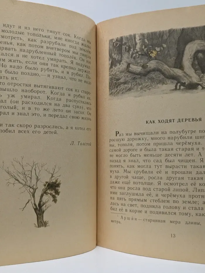 Читаем сами. Как ходят деревья