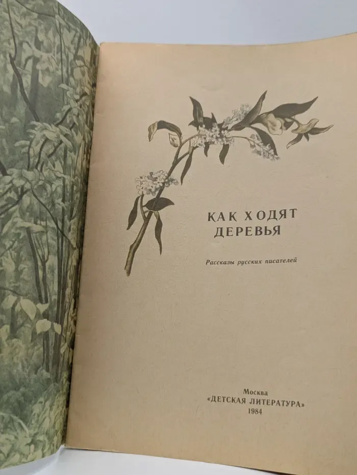 Читаем сами. Как ходят деревья