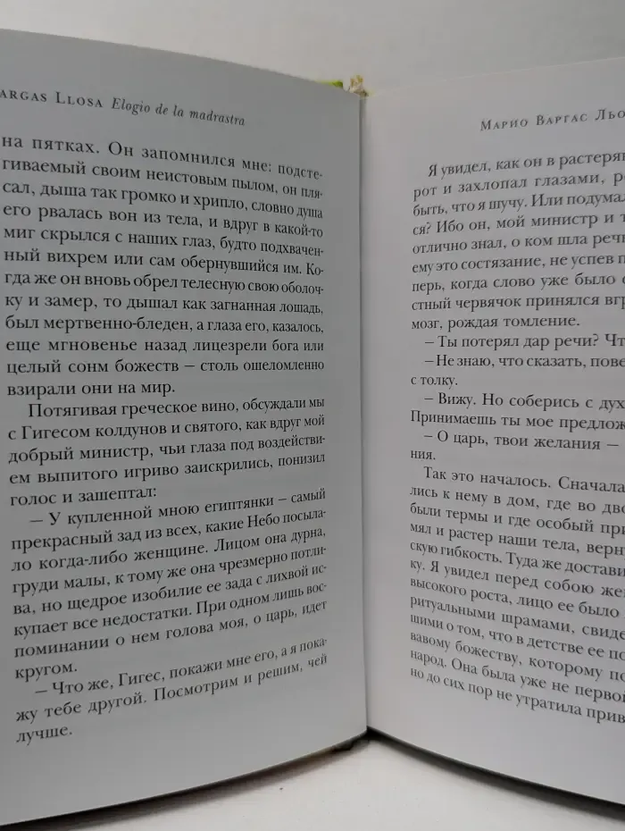 Похвальное слово мачехе