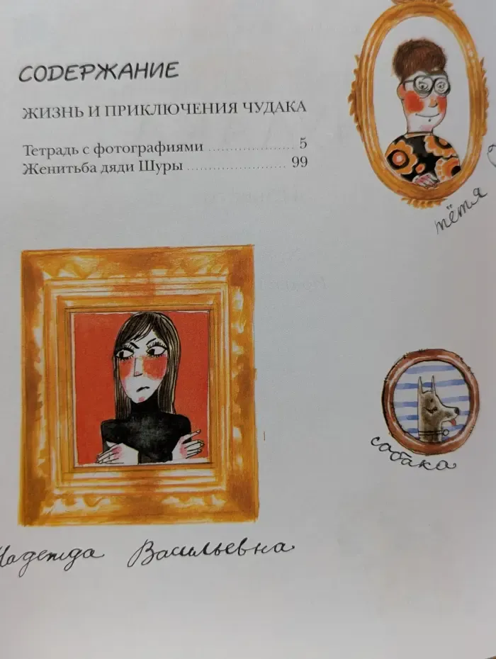 Домашняя библиотека школьника. Жизнь и приключения чудака