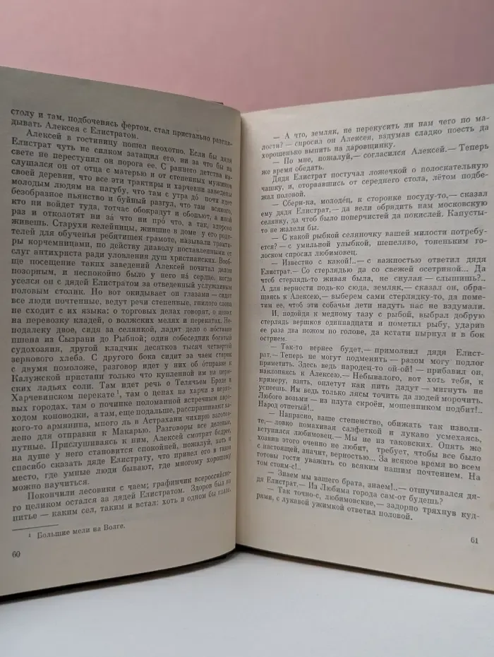 В лесах. В 2 книгах. Книга 2