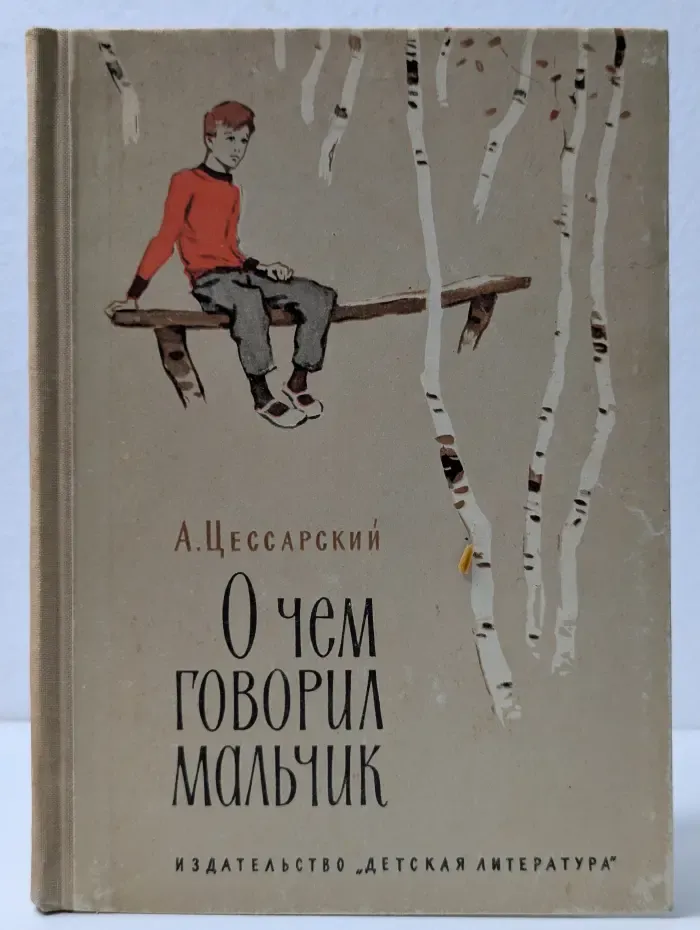 О чем говорил мальчик