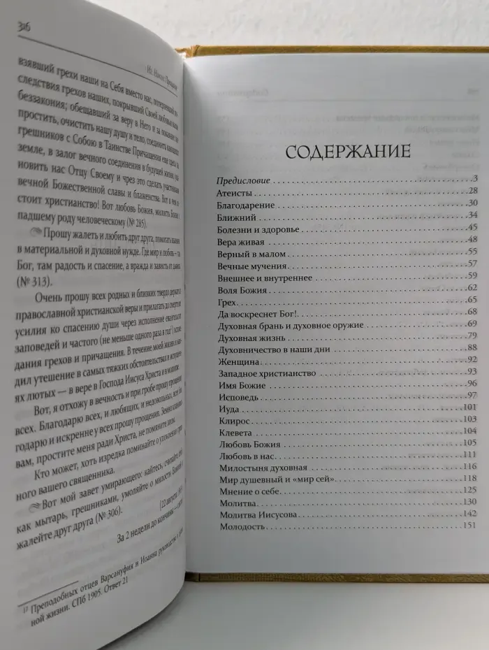 Духовные советы современным христианам. Носители Духа святителя Игнатия